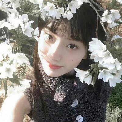 玉米上的麻雀